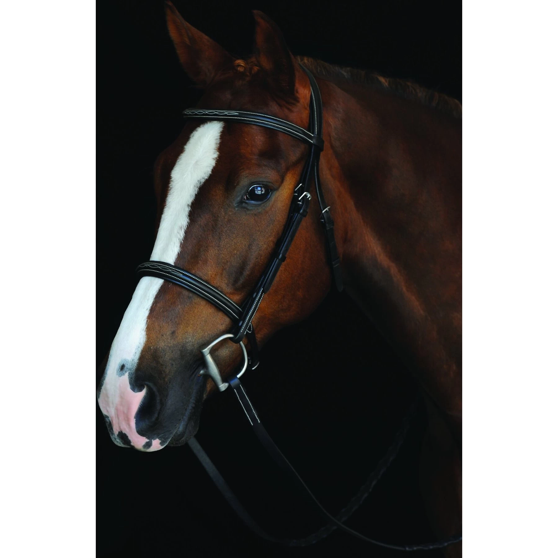 Collegiate Comfort Crown Fancy Stitched Raised Cavesson Bridle 1 Collegiate Comfort Crown Fancy Stitched Raised Cavesson Bridle