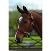 Kincade Leather Web Horse Headcollar