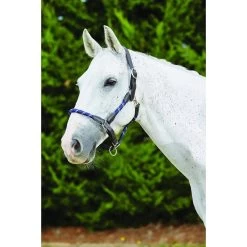 Kincade Leather Rope Horse Headcollar