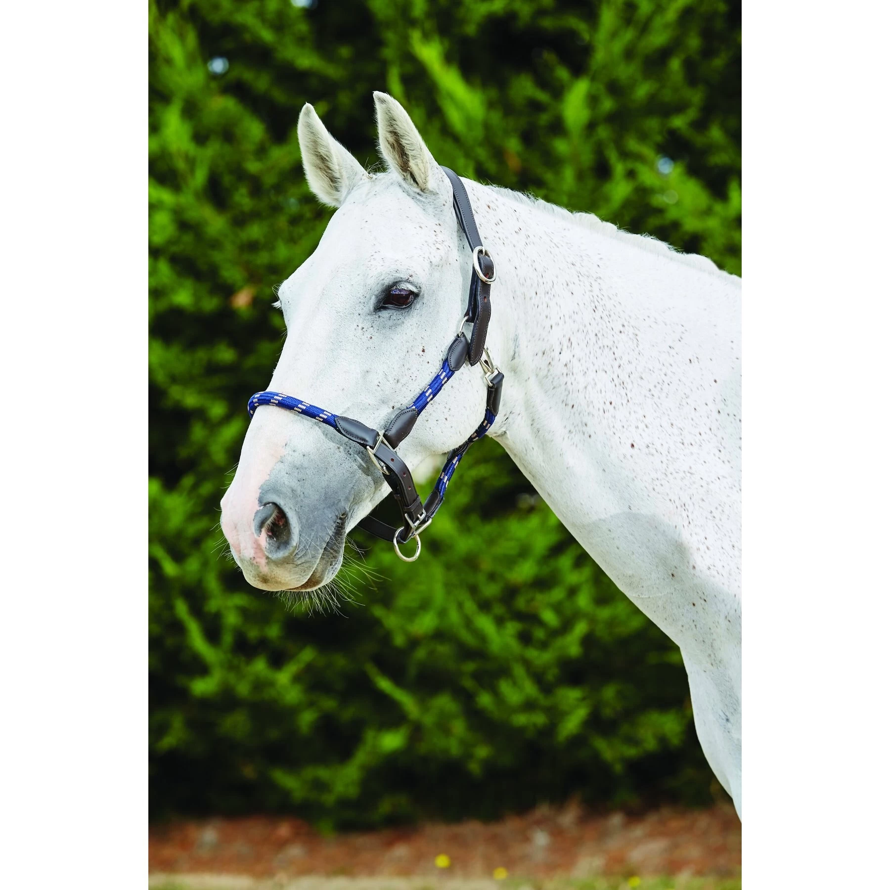 Kincade Leather Rope Horse Headcollar 1 Kincade Leather Rope Horse Headcollar