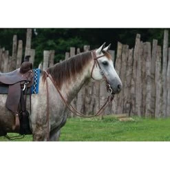 Weaver Leather ProTack Designer Hardward Horse Browband Headstall 5 Weaver Leather ProTack Designer Hardward Horse Browband Headstall -Horse Supplies Shop 288403 PT2. AC SS1800 V1681935758
