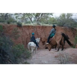 Weaver Leather Trail Gear Horse Saddle Bags -Horse Supplies Shop 288425 PT5. AC SS1800 V1681929116