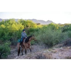 Weaver Leather Trail Gear Horse Saddle Bags -Horse Supplies Shop 288425 PT6. AC SS1800 V1681927629