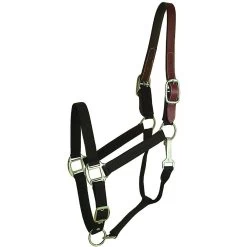Gatsby Classic Nylon Breakaway Horse Halter & Snap