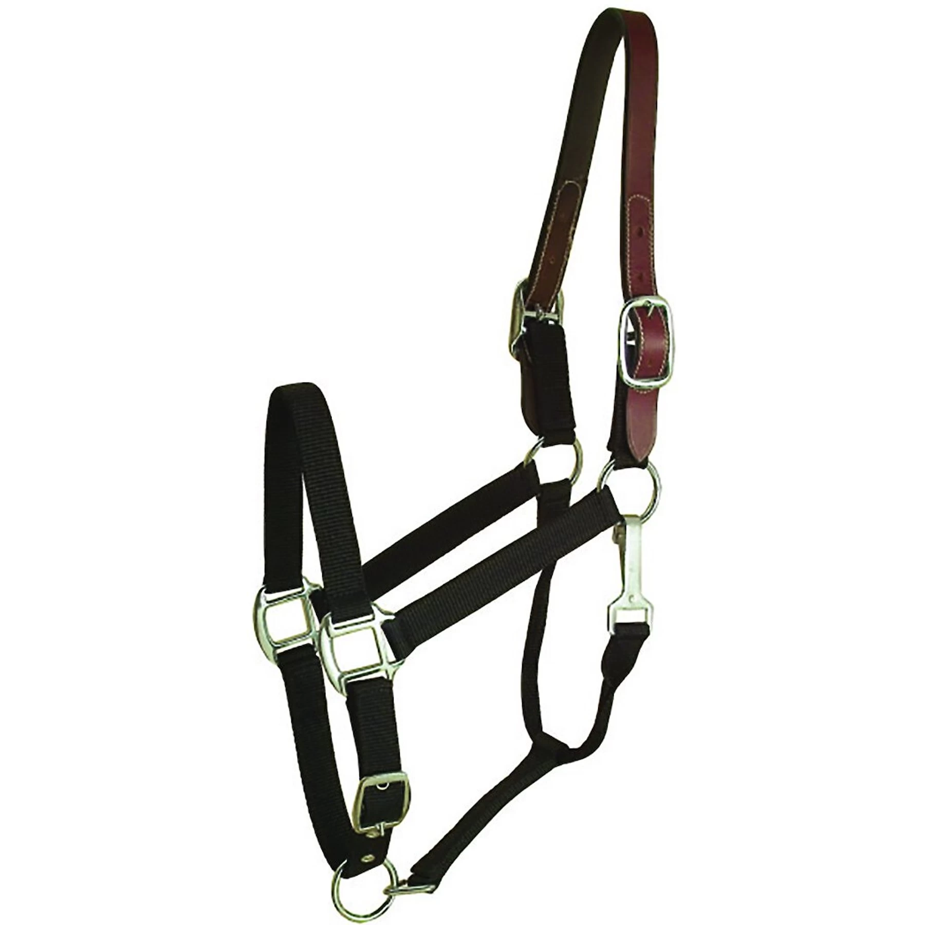 Gatsby Classic Nylon Breakaway Horse Halter & Snap 1 Gatsby Classic Nylon Breakaway Horse Halter & Snap
