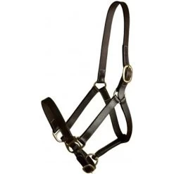 Gatsby Leather Adjustable Turnout Horse Halter
