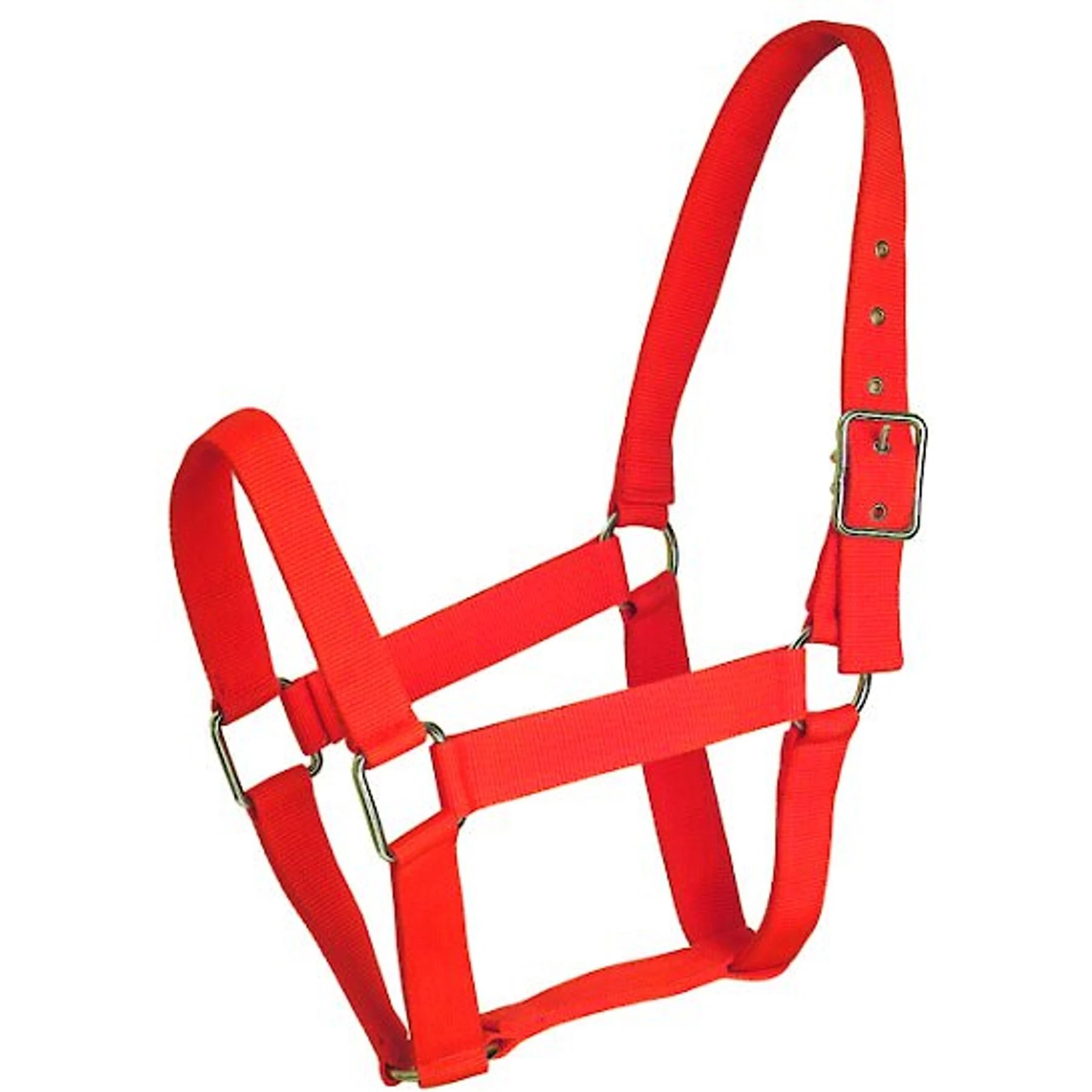 Gatsby Nylon Horse Halter 1 Gatsby Nylon Horse Halter