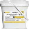 Enviro Equine GastroBalance Plus Horse Supplement, 8-lb Bucket