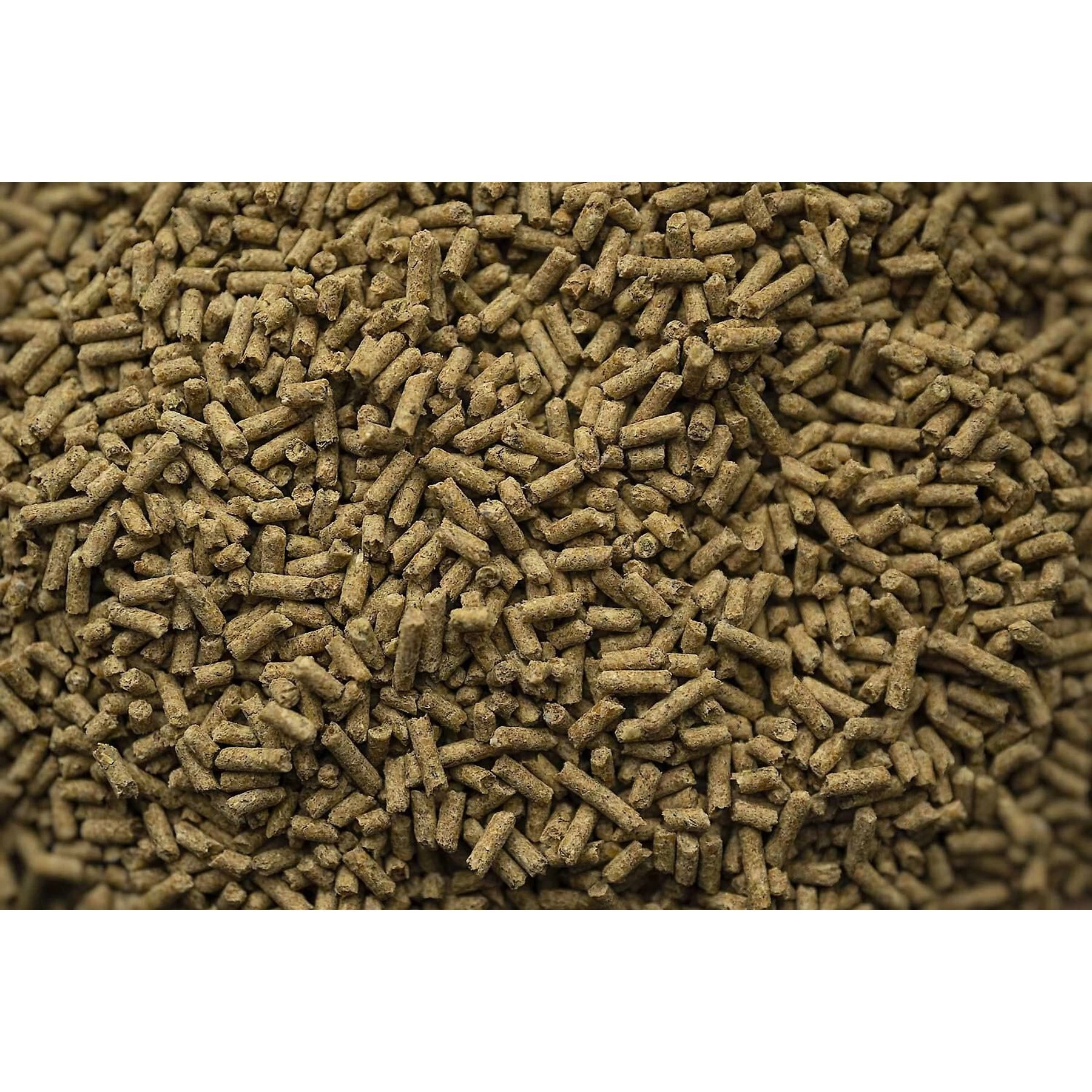 Buckeye Nutrition Gro 'N Win Pelleted Horse Feed & Buckeye Nutrition Senior Balancer Joint Support Senior Horse Feed 6 Buckeye Nutrition Gro 'N Win Pelleted Horse Feed & Buckeye Nutrition Senior Balancer Joint Support Senior Horse Feed - Image 6