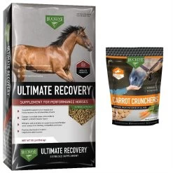Buckeye Nutrition Ultimate Recovery Extruded Performance Pellets Horse Supplement, 30-lb Bag & Buckeye Nutrition All-Natural Carrot Horse Treats