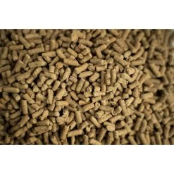 Buckeye Nutrition Ultimate Recovery Extruded Performance Pellets Horse Supplement, 30-lb Bag & Buckeye Nutrition All-Natural Carrot Horse Treats -Horse Supplies Shop 301862 PT2. AC SS1800 V1670946854