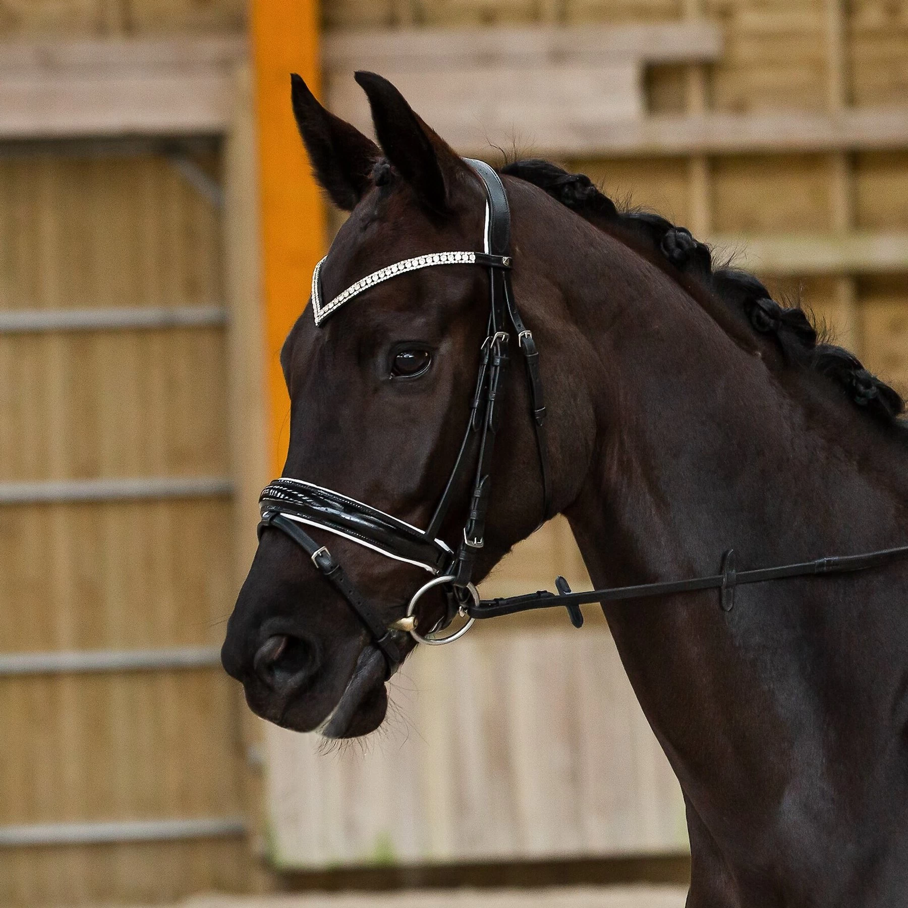 Horze Equestrian Grayson Classic Dressage Ergonomic Horse Bridle 1 Horze Equestrian Grayson Classic Dressage Ergonomic Horse Bridle