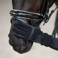 Horze Equestrian Grayson Classic Dressage Ergonomic Horse Bridle 8 Horze Equestrian Grayson Classic Dressage Ergonomic Horse Bridle -Horse Supplies Shop 304204 PT3. AC SS1800 V1623281244