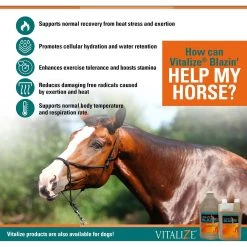 Vitalize Blazin' Liquid Horse Supplement 6 Vitalize Blazin' Liquid Horse Supplement -Horse Supplies Shop 316192 PT3. AC SS1800 V1659634884