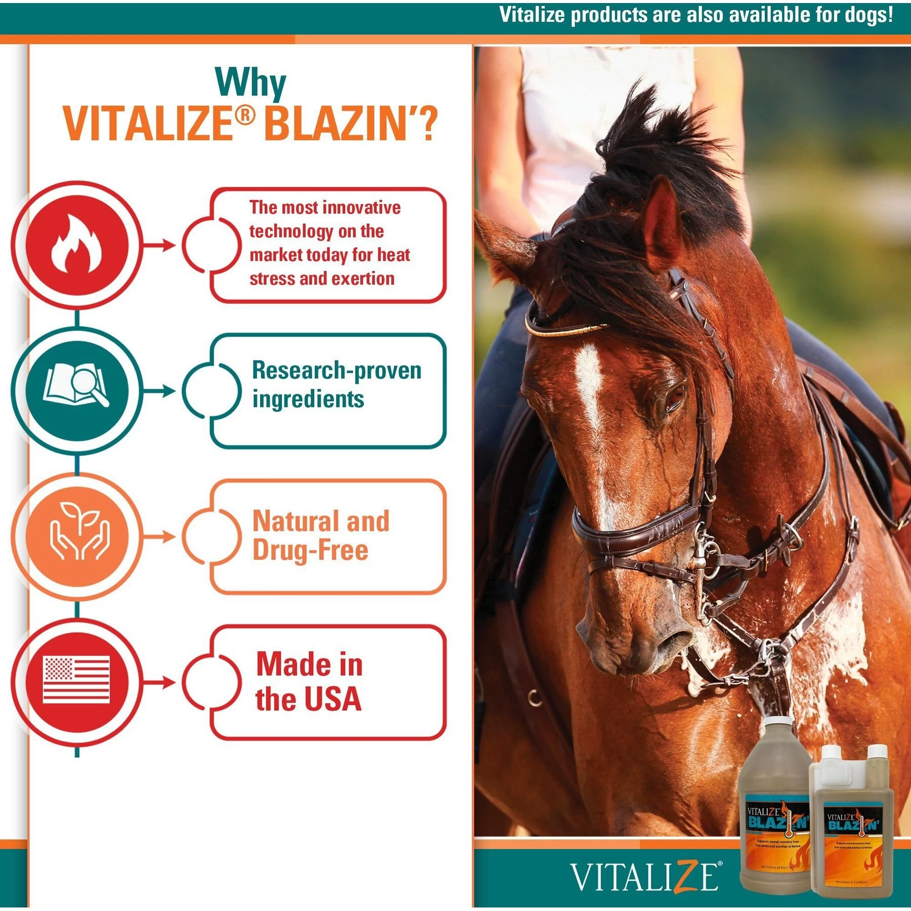 Vitalize Blazin' Liquid Horse Supplement 4 Vitalize Blazin' Liquid Horse Supplement - Image 4
