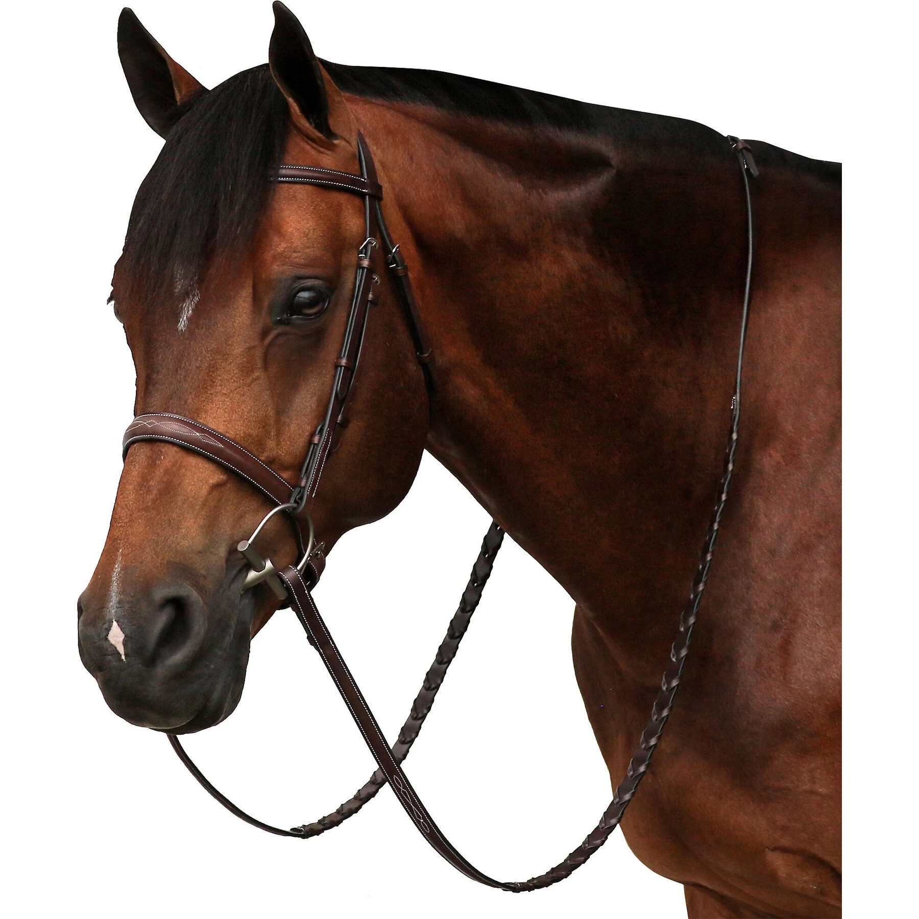 Equiline Scott Stewart Hunter Horse Bridle 1 Equiline Scott Stewart Hunter Horse Bridle