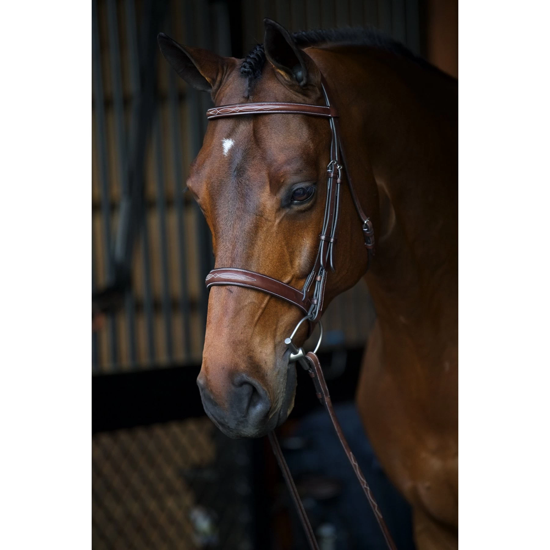 Equiline Scott Stewart Hunter Horse Bridle 3 Equiline Scott Stewart Hunter Horse Bridle - Image 3