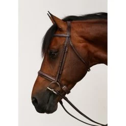 Equiline Scott Stewart Hunter Horse Bridle 9 Equiline Scott Stewart Hunter Horse Bridle -Horse Supplies Shop 327698 PT3. AC SS1800 V1634593316