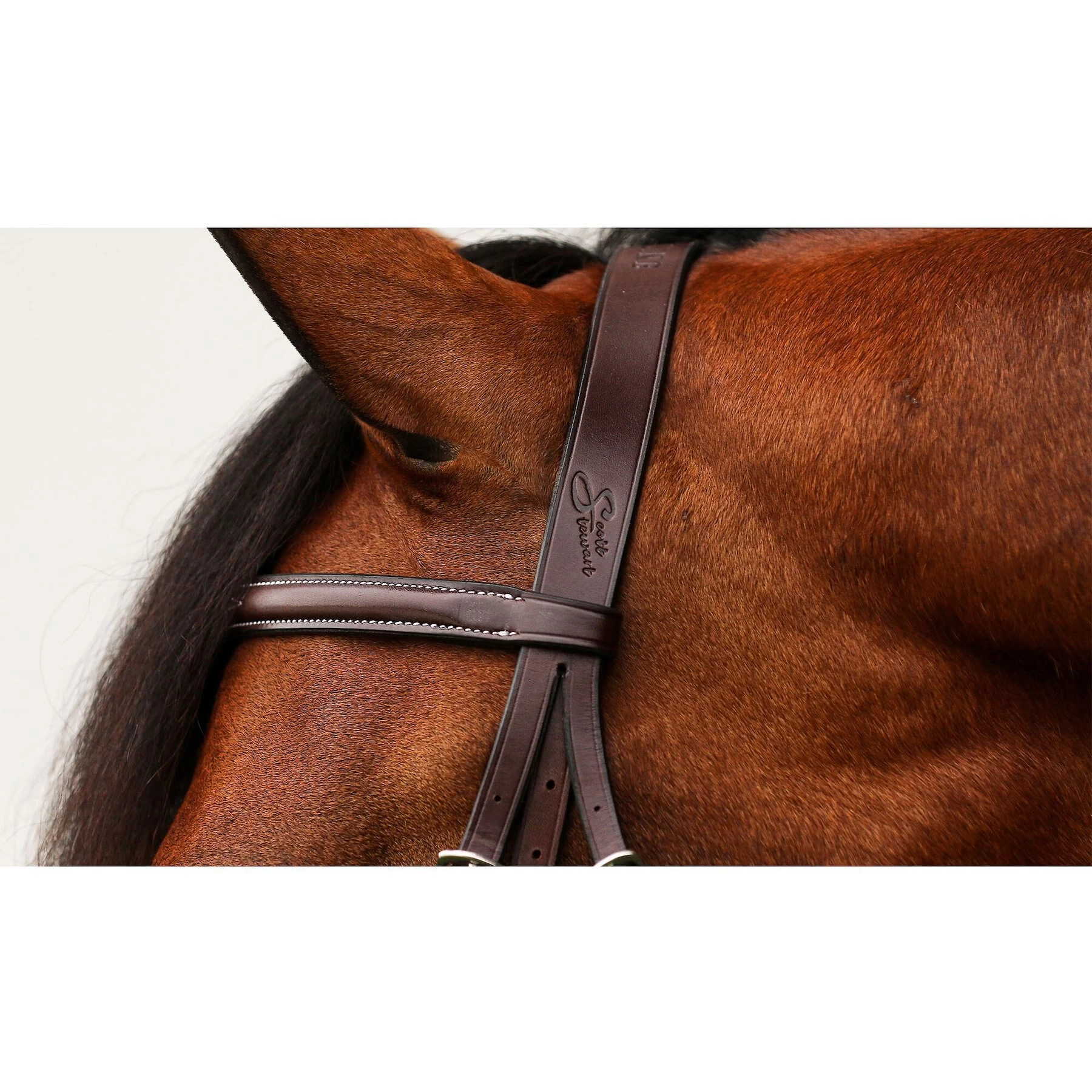 Equiline Scott Stewart Hunter Horse Bridle 5 Equiline Scott Stewart Hunter Horse Bridle - Image 5
