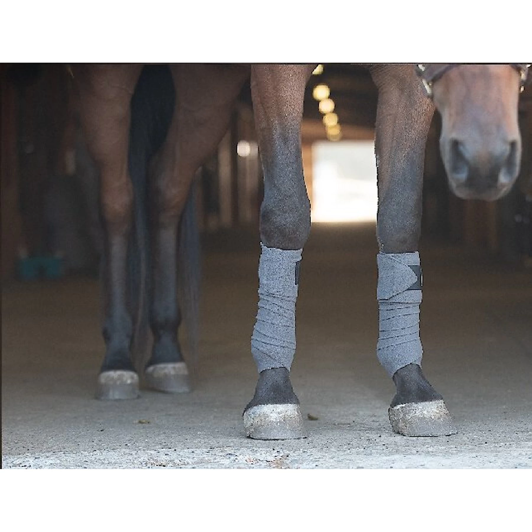 Benefab Therapeutic Horse Polo Wraps, 4-pack 2 Benefab Therapeutic Horse Polo Wraps, 4-pack - Image 2