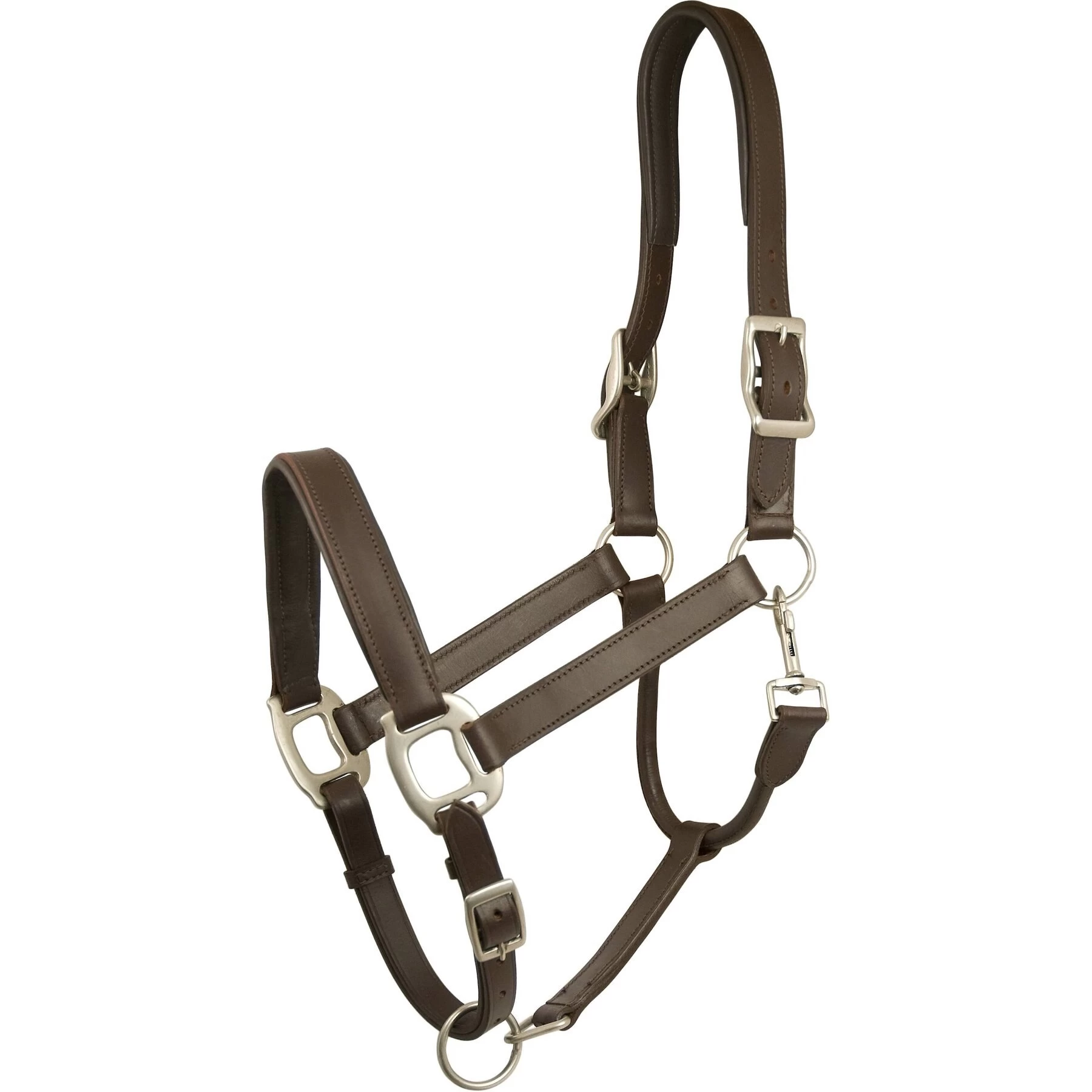 Gatsby Adjustable Padded Leather Horse Halter 1 Gatsby Adjustable Padded Leather Horse Halter