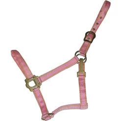 Gatsby Classic 2-Tone Nylon Horse Halter & Snap