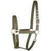 Gatsby Classic Nylon 2-Tone Horse Halter