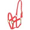 Gatsby Classic Nylon Horse Halter & Snap
