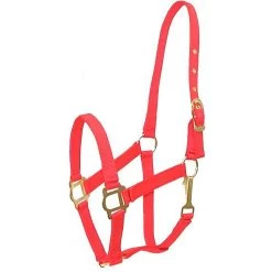 Gatsby Classic Nylon Horse Halter & Snap