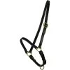 Gatsby Grooming Horse Halter