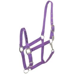 Gatsby I Love My Owner Nylon Horse Halter