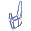 Gatsby I Love My Pony Nylon Horse Halter