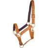 Gatsby Leather Padded Adjustable Nylon Horse Halter