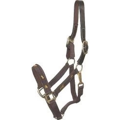 Gatsby Nylon Overlay & Snap Breakaway Horse Halter