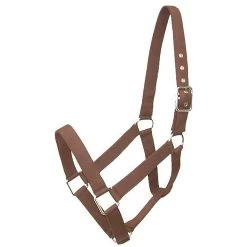 Gatsby Nylon Draft Horse Halter