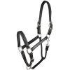 Gatsby Padded Leather Horse Halter