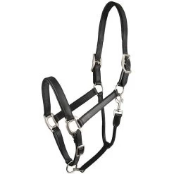 Gatsby Padded Leather Horse Halter