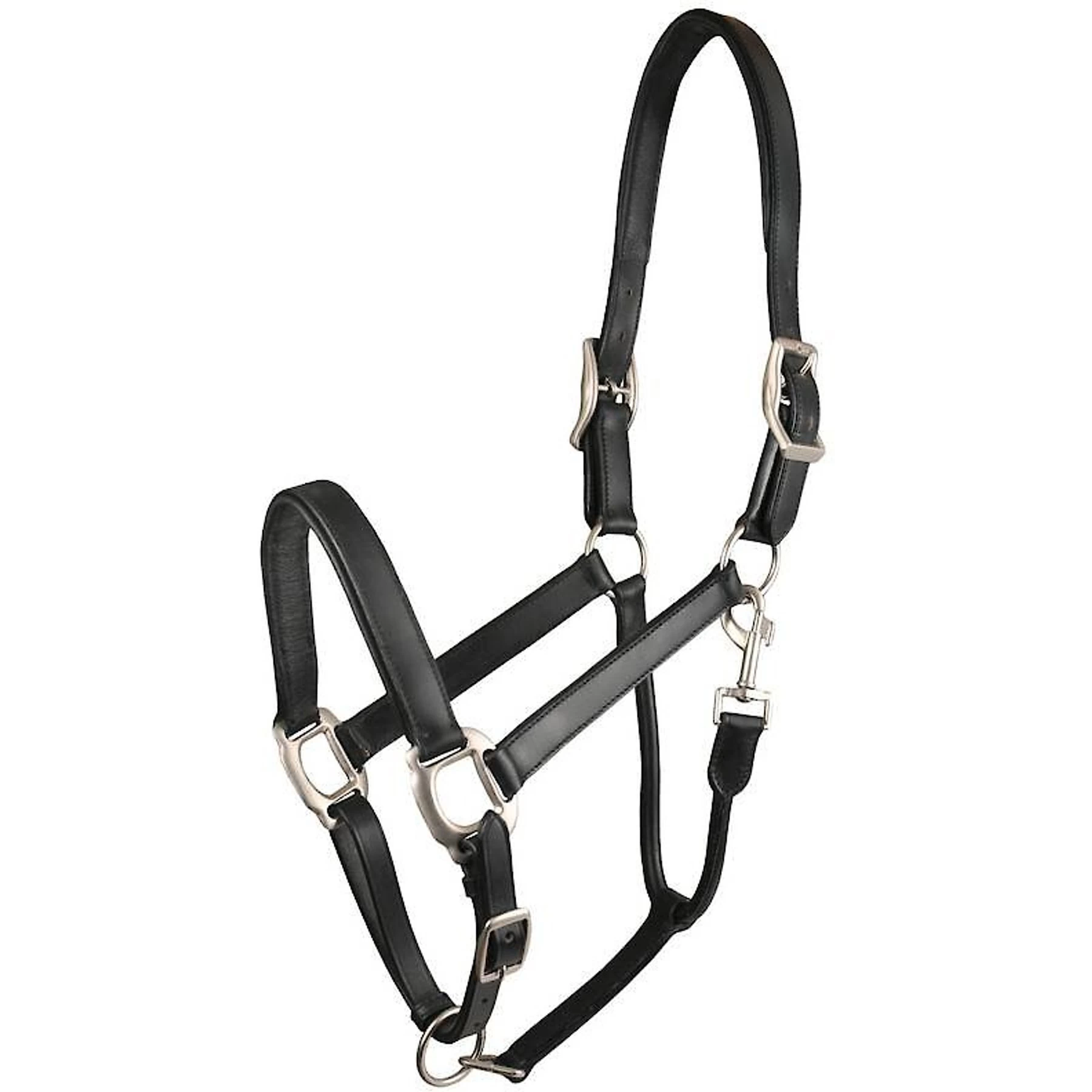 Gatsby Padded Leather Horse Halter 1 Gatsby Padded Leather Horse Halter