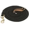 Gatsby Polypropylene Cowboy Horse Lead, 10-ft