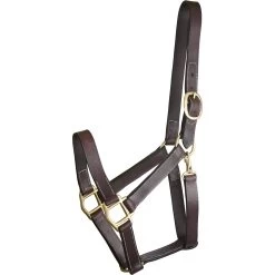 Gatsby Track Style Turnout Horse Halter & Snap