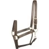 Gatsby Triple Stitched Leather Horse Halter