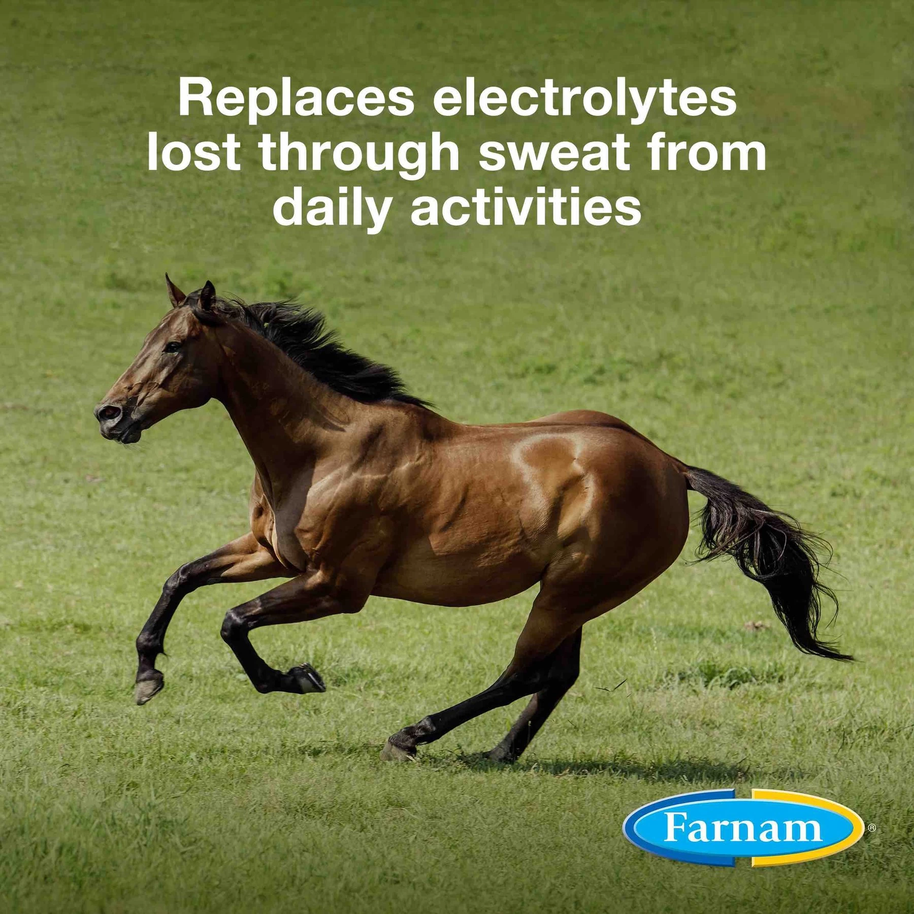 Farnam Apple Elite Electrolyte Pellets Horse Supplement, 7.5-lb Bag 2 Farnam Apple Elite Electrolyte Pellets Horse Supplement, 7.5-lb Bag - Image 2