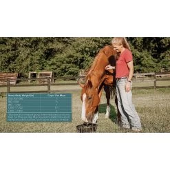 Tribute Equine Nutrition Constant Comfort Plus Gut Health Horse Supplement, 40-lbs Bag -Horse Supplies Shop 352533 PT3. AC SS1800 V1641619936