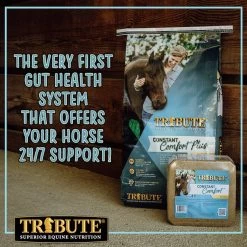 Tribute Equine Nutrition Constant Comfort Plus Gut Health Horse Supplement, 40-lbs Bag -Horse Supplies Shop 352533 PT5. AC SS1800 V1641603700