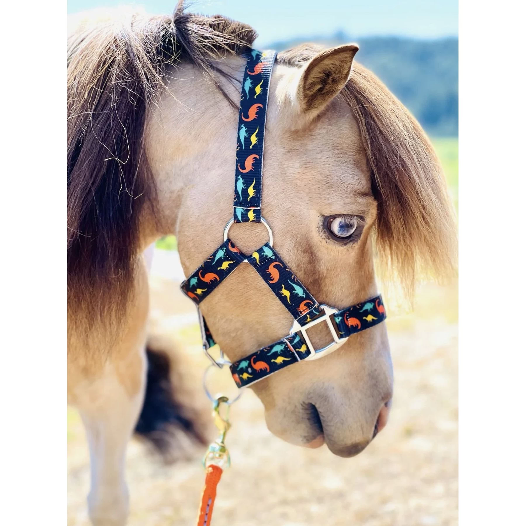 Star Point Horsemanship Mini-Pony-Livestock Printed Halter 1 Star Point Horsemanship Mini-Pony-Livestock Printed Halter