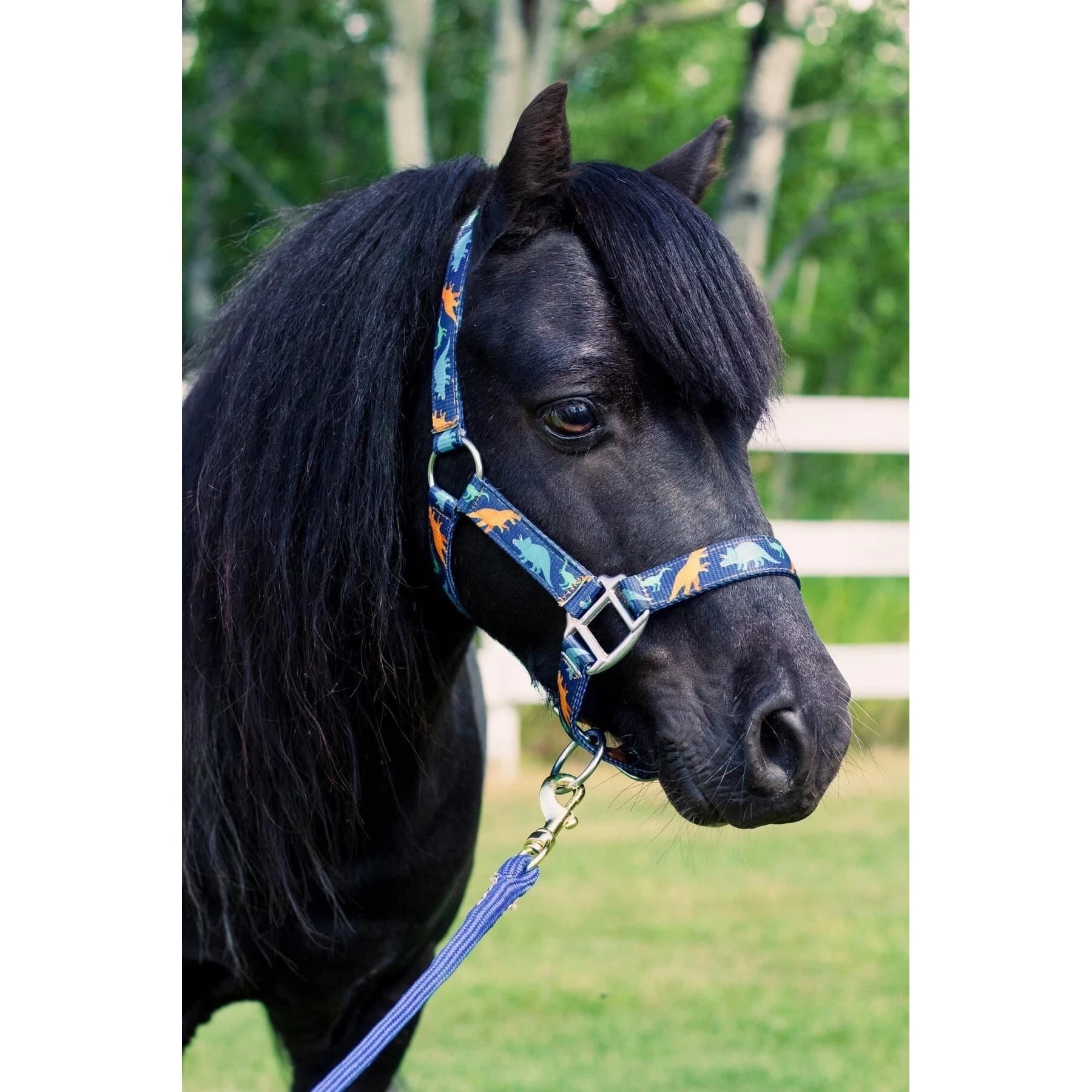 Star Point Horsemanship Mini-Pony-Livestock Printed Halter 2 Star Point Horsemanship Mini-Pony-Livestock Printed Halter - Image 2