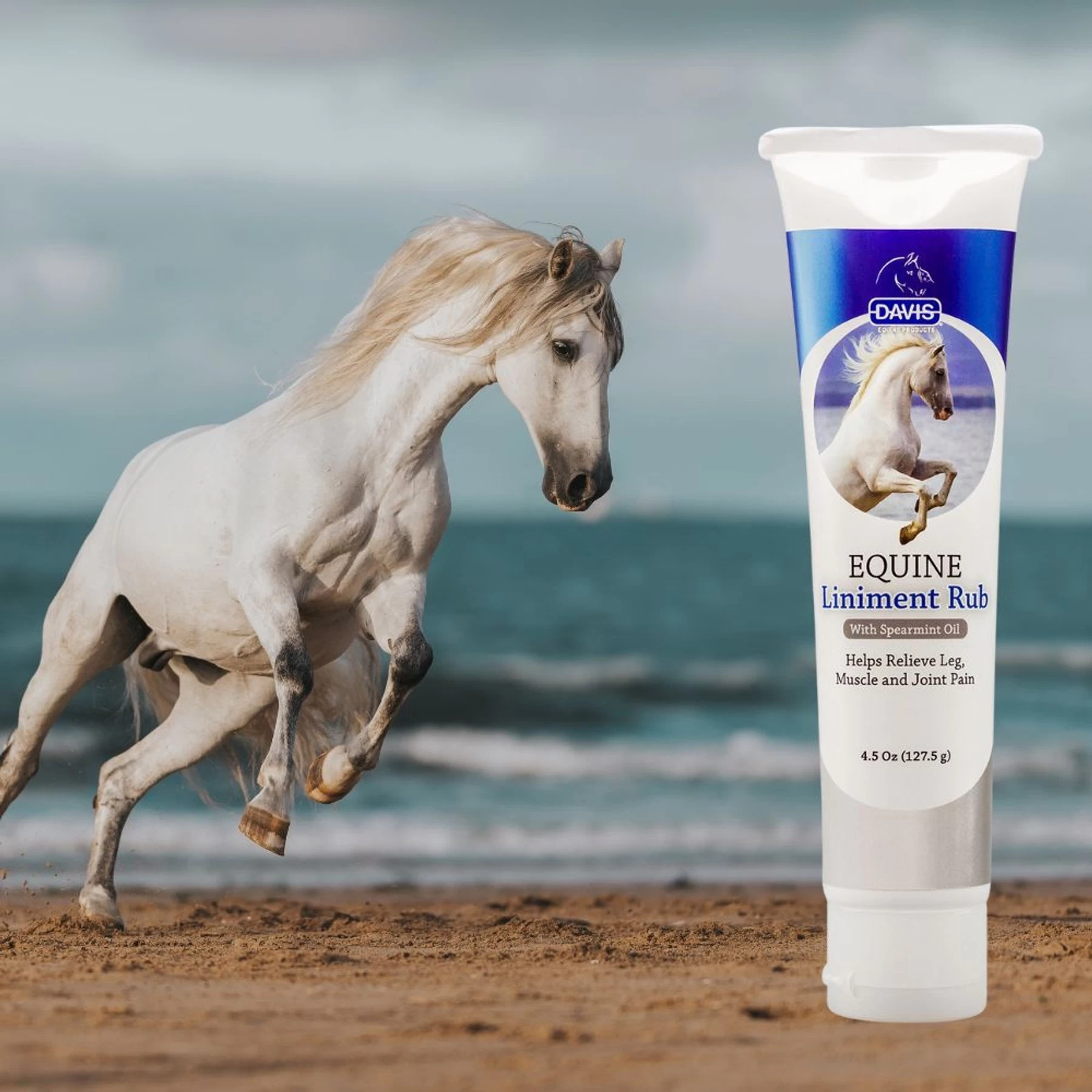 Davis Equine Liniment Rub Horse Cream, 4.2-oz Tube 3 Davis Equine Liniment Rub Horse Cream, 4.2-oz Tube - Image 3