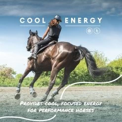 Manna Pro Cool Calories 100 Healthy Weight Gain Equine Dry Fat Horse Supplement, 8-lb Bag 9 Manna Pro Cool Calories 100 Healthy Weight Gain Equine Dry Fat Horse Supplement, 8-lb Bag -Horse Supplies Shop 837334 PT2. AC SS1800 V1683064376