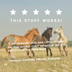 Manna Pro Cool Calories 100 Healthy Weight Gain Equine Dry Fat Horse Supplement, 8-lb Bag 12 Manna Pro Cool Calories 100 Healthy Weight Gain Equine Dry Fat Horse Supplement, 8-lb Bag -Horse Supplies Shop 837334 PT5. AC SS1800 V1683120776