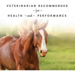 Manna Pro Sho-Glo Complete Vitamin & Mineral Supplement For Healthy Skin & Coat Horse Supplement, 5-lb Bag 11 Manna Pro Sho-Glo Complete Vitamin & Mineral Supplement For Healthy Skin & Coat Horse Supplement, 5-lb Bag -Horse Supplies Shop 837350 PT4. AC SS1800 V1683064496
